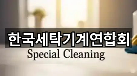 경기 고양 일산동구 지영동 청소업체 5곳 지도만 보기