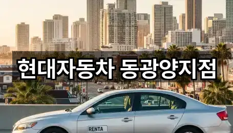 전남 광양시 도이동 자동차전시장 1곳 주소 모음