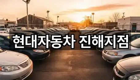 진해구 이동 자동차전시장 1곳 최근 확인