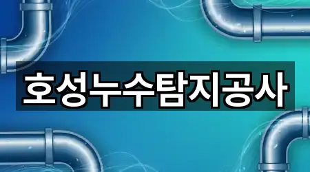 전주시 호성동1가 누수탐지 사진/정보 4건