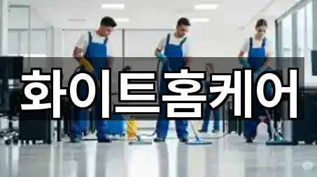 가까운 대구광역시 동구 신기동 청소업체 5 업체 정보