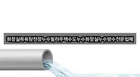화장실목욕탕천장누수빌라주택수도누수화장실누수방수전문업체