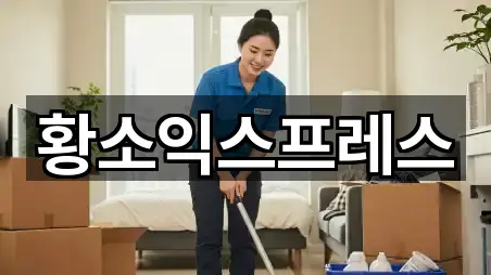 5곳 전북 전주 덕진구 진북동 포장이사 모아보기