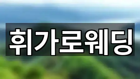 전라남도 목포시 무안동 웨딩드레스 사진 보기 2건