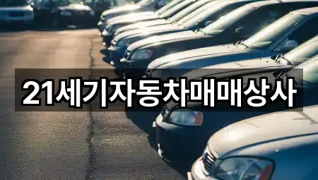 경기 평택시 도일동중고차 5곳 주소 빠른접속