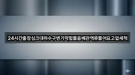 24시간출장싱크대하수구변기막힘뚫음배관역류뚫어요고압세척