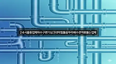 전라남도 항동 배수관 막힘 견적 요청 1곳