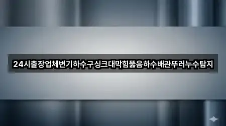 24시출장업체변기하수구싱크대막힘뚫음하수배관뚜러누수탐지