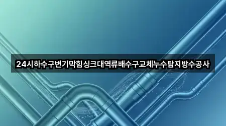 24시하수구변기막힘싱크대역류배수구교체누수탐지방수공사