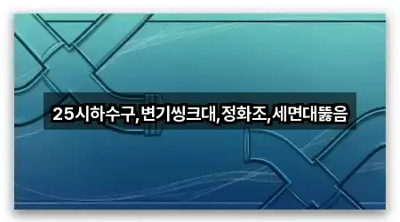 25시하수구,변기씽크대,정화조,세면대뚫음