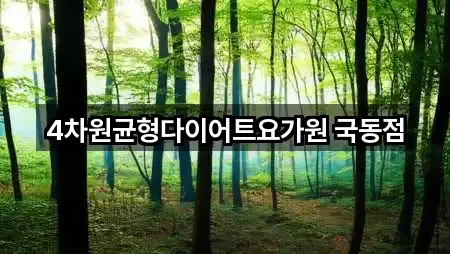 4차원균형다이어트요가원 국동점