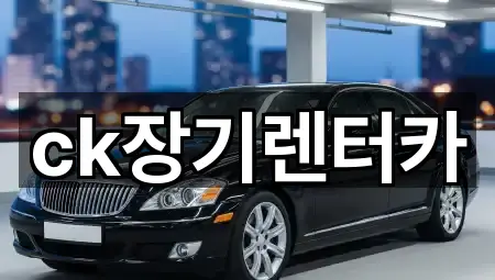 지도 브리핑: 김천 문당동 장기렌트카 1곳