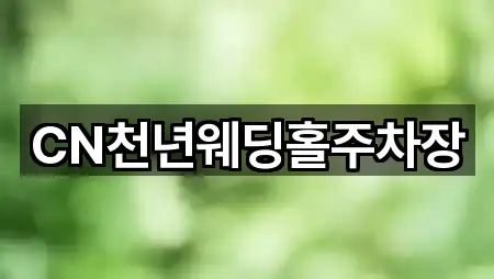 CN천년웨딩홀주차장