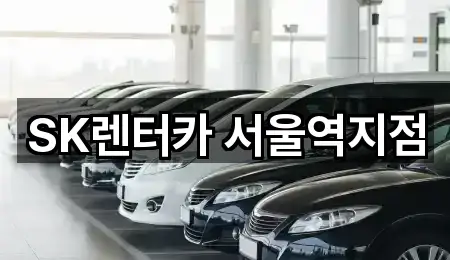 요약 브리프: 서울 남대문로5가 렌트카 5곳